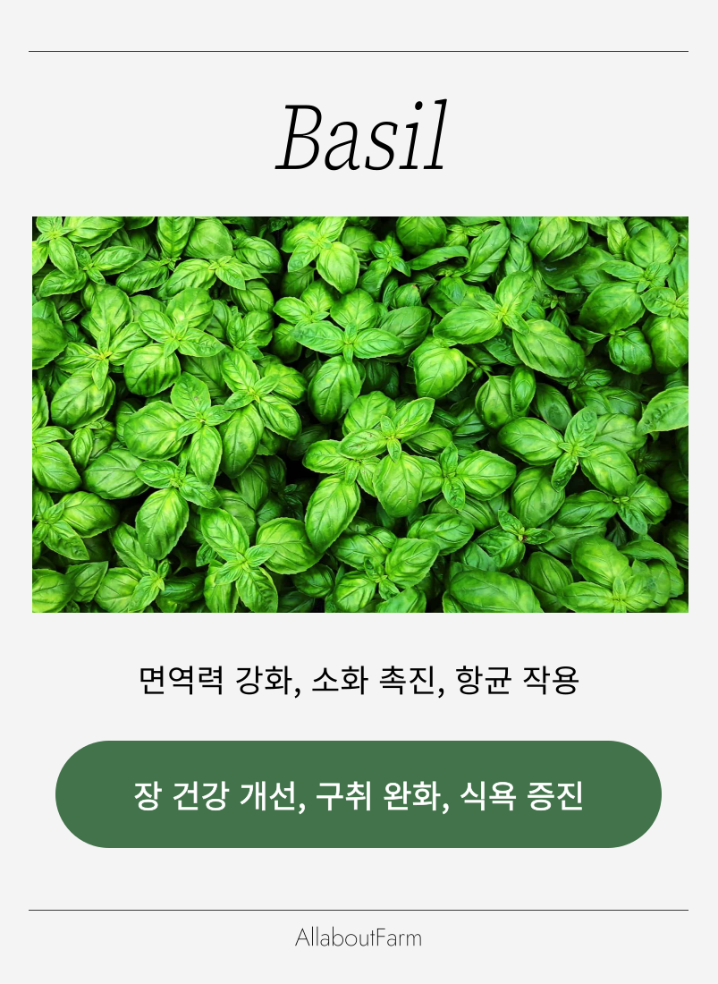 웰니스 스토리 이미지 1