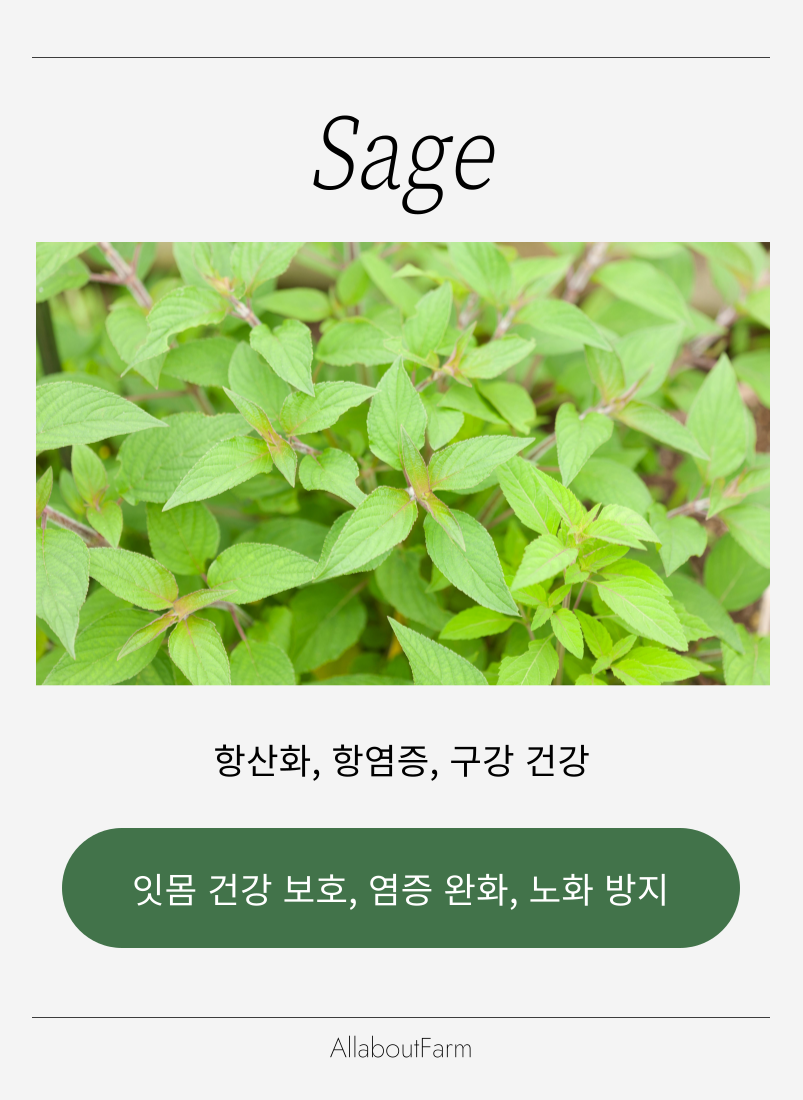 웰니스 스토리 이미지 2