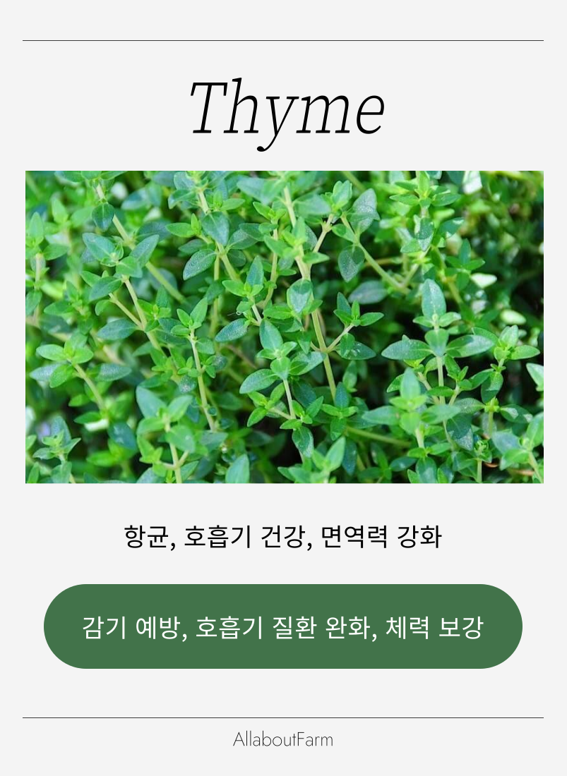 웰니스 스토리 이미지 4