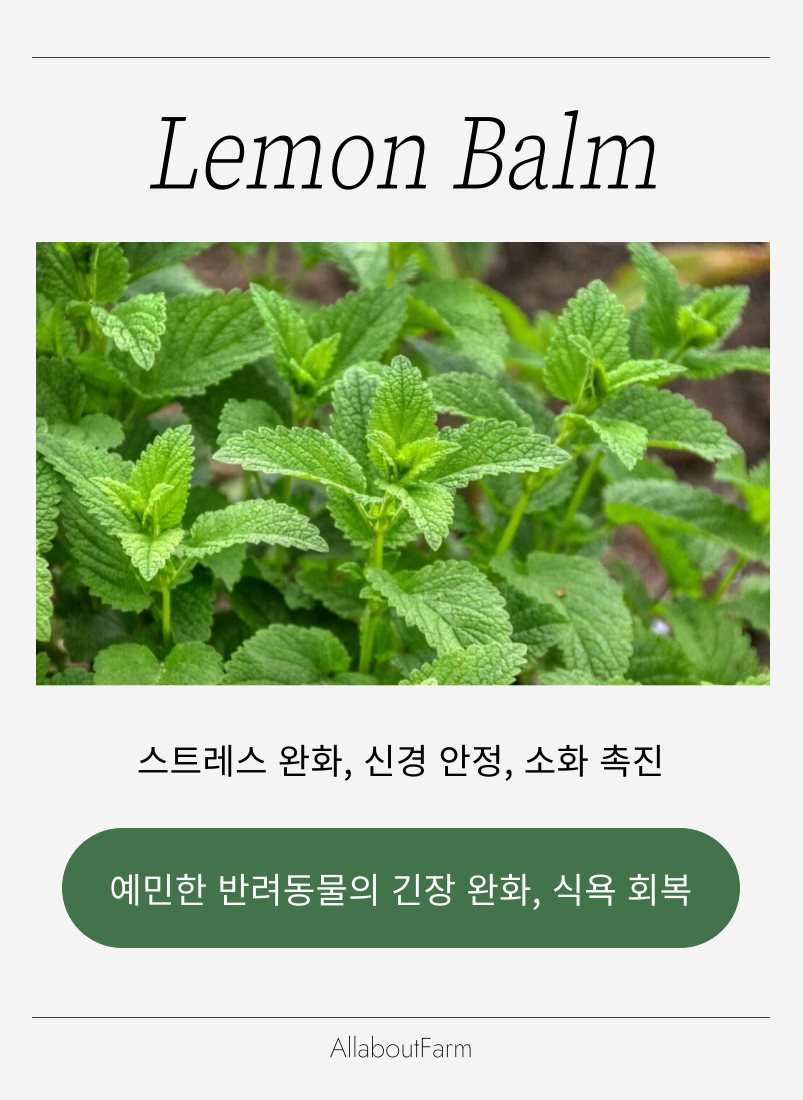 웰니스 스토리 이미지 7