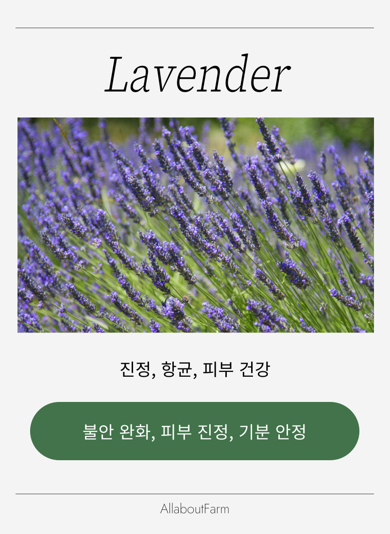 웰니스 스토리 이미지 8
